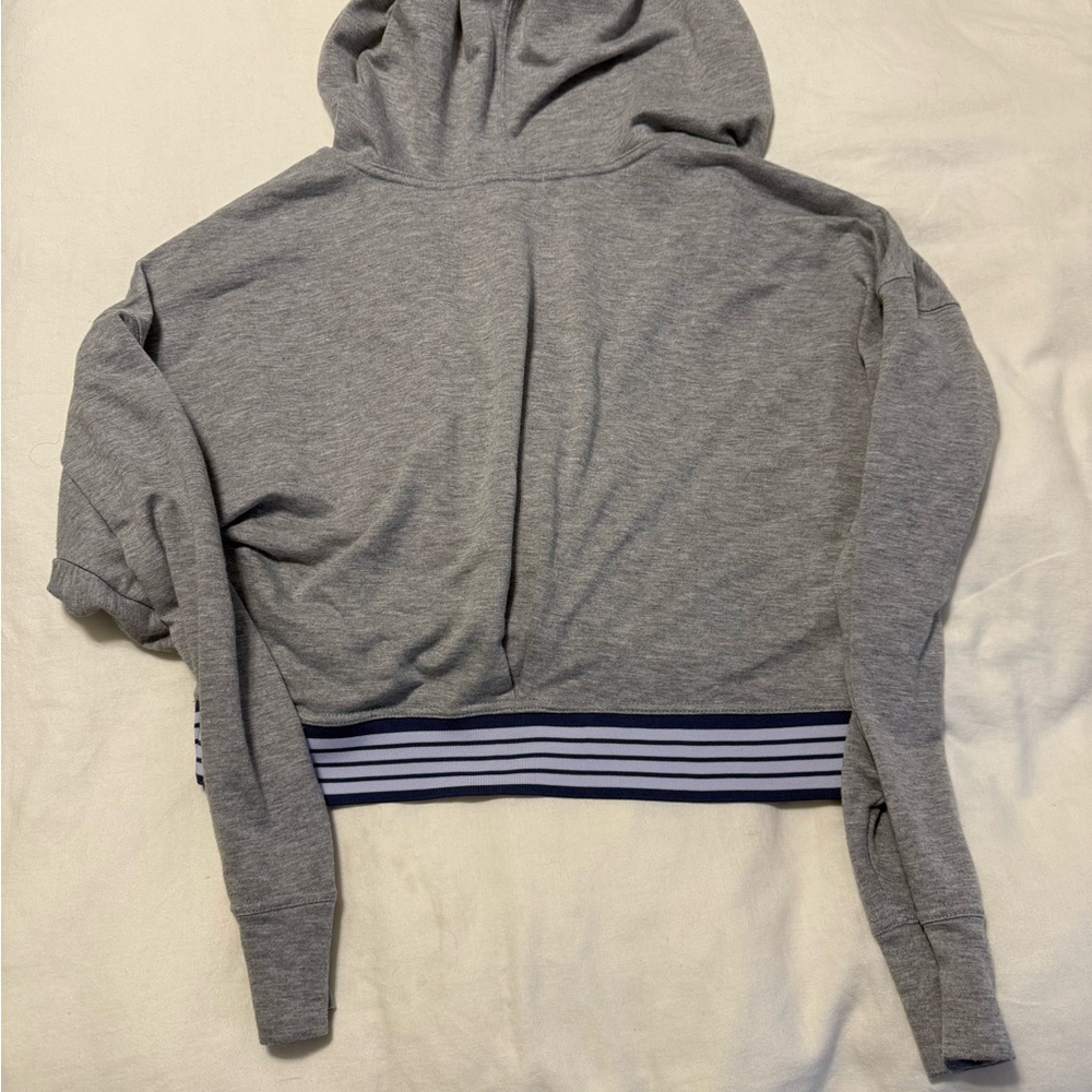 Altr’d State Gray Cropped Hoodie
